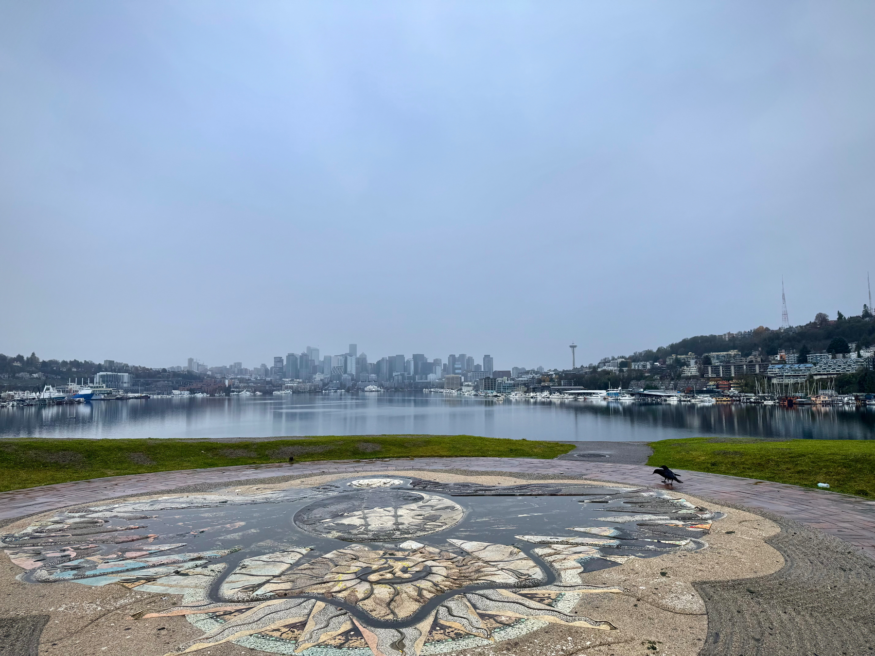 A foggy view of downtown Seattle seen across the still waters of Lake Union. The skyline rises softly through gray mist, with the Space Needle visible on the right. In the foreground, a large circular mosaic lies wet with rain, and a crow walks across the path beside it.